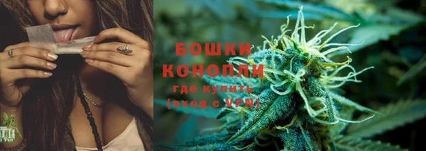 шишки Вяземский