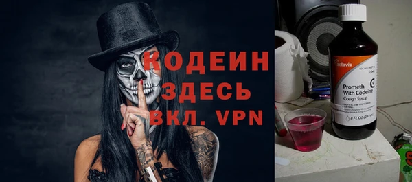 шишки Вяземский