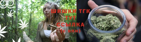 шишки Вяземский