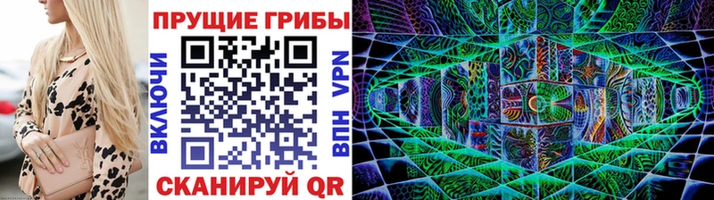Псилоцибиновые грибы Magic Shrooms  как найти закладки  Зуевка 